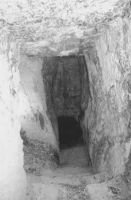 Cronica Cercetărilor Arheologice din România, Campania 2002. Raportul nr. 164