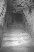 Cronica Cercetărilor Arheologice din România, Campania 2002. Raportul nr. 164