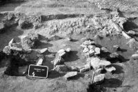 Cronica Cercetărilor Arheologice din România, Campania 2002. Raportul nr. 166