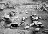 Cronica Cercetărilor Arheologice din România, Campania 2002. Raportul nr. 166
