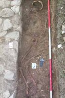 Cronica Cercetărilor Arheologice din România, Campania 2002. Raportul nr. 169