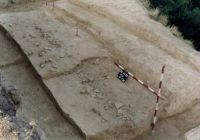 Cronica Cercetărilor Arheologice din România, Campania 2002. Raportul nr. 170