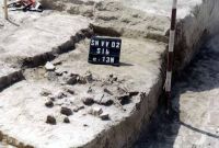 Cronica Cercetărilor Arheologice din România, Campania 2002. Raportul nr. 170