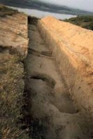 Cronica Cercetărilor Arheologice din România, Campania 2002. Raportul nr. 170