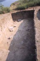 Cronica Cercetărilor Arheologice din România, Campania 2002. Raportul nr. 170
