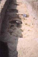Cronica Cercetărilor Arheologice din România, Campania 2002. Raportul nr. 170