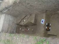 Cronica Cercetărilor Arheologice din România, Campania 2002. Raportul nr. 173