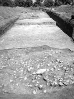 Cronica Cercetărilor Arheologice din România, Campania 2002. Raportul nr. 175