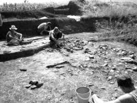 Cronica Cercetărilor Arheologice din România, Campania 2002. Raportul nr. 175