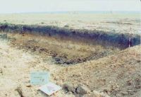 Cronica Cercetărilor Arheologice din România, Campania 2002. Raportul nr. 176