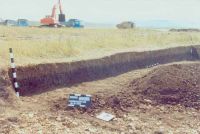 Cronica Cercetărilor Arheologice din România, Campania 2002. Raportul nr. 176