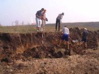 Cronica Cercetărilor Arheologice din România, Campania 2002. Raportul nr. 176