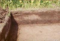 Cronica Cercetărilor Arheologice din România, Campania 2002. Raportul nr. 186