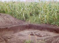 Cronica Cercetărilor Arheologice din România, Campania 2002. Raportul nr. 186