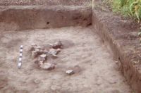Cronica Cercetărilor Arheologice din România, Campania 2002. Raportul nr. 186