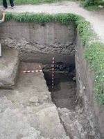 Cronica Cercetărilor Arheologice din România, Campania 2002. Raportul nr. 187