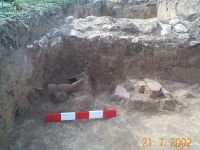 Cronica Cercetărilor Arheologice din România, Campania 2002. Raportul nr. 187