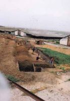Cronica Cercetărilor Arheologice din România, Campania 2002. Raportul nr. 188