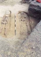 Cronica Cercetărilor Arheologice din România, Campania 2002. Raportul nr. 188