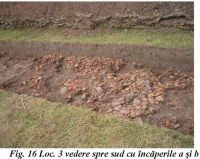 Cronica Cercetărilor Arheologice din România, Campania 2002. Raportul nr. 192