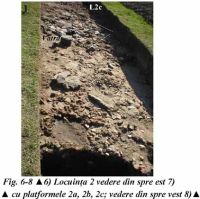 Cronica Cercetărilor Arheologice din România, Campania 2002. Raportul nr. 192