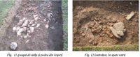 Cronica Cercetărilor Arheologice din România, Campania 2002. Raportul nr. 192