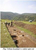 Cronica Cercetărilor Arheologice din România, Campania 2002. Raportul nr. 192