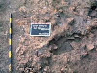 Cronica Cercetărilor Arheologice din România, Campania 2002. Raportul nr. 196