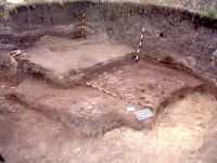 Cronica Cercetărilor Arheologice din România, Campania 2002. Raportul nr. 196