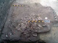 Cronica Cercetărilor Arheologice din România, Campania 2002. Raportul nr. 196