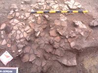 Cronica Cercetărilor Arheologice din România, Campania 2002. Raportul nr. 196