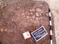 Cronica Cercetărilor Arheologice din România, Campania 2002. Raportul nr. 196
