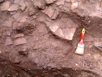 Cronica Cercetărilor Arheologice din România, Campania 2002. Raportul nr. 196