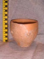 Cronica Cercetărilor Arheologice din România, Campania 2002. Raportul nr. 196