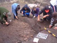 Cronica Cercetărilor Arheologice din România, Campania 2002. Raportul nr. 196