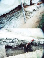 Cronica Cercetărilor Arheologice din România, Campania 2002. Raportul nr. 200