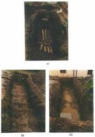 Cronica Cercetărilor Arheologice din România, Campania 2002. Raportul nr. 203