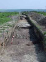 Cronica Cercetărilor Arheologice din România, Campania 2002. Raportul nr. 212