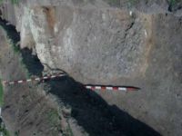 Cronica Cercetărilor Arheologice din România, Campania 2002. Raportul nr. 212
