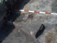 Cronica Cercetărilor Arheologice din România, Campania 2002. Raportul nr. 212
