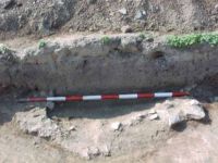 Cronica Cercetărilor Arheologice din România, Campania 2002. Raportul nr. 212