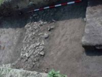 Cronica Cercetărilor Arheologice din România, Campania 2002. Raportul nr. 212