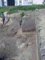 Cronica Cercetărilor Arheologice din România, Campania 2002. Raportul nr. 212