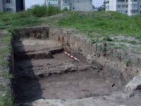 Cronica Cercetărilor Arheologice din România, Campania 2002. Raportul nr. 212