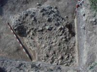 Cronica Cercetărilor Arheologice din România, Campania 2002. Raportul nr. 212