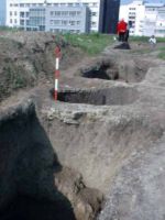 Cronica Cercetărilor Arheologice din România, Campania 2002. Raportul nr. 212