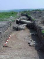 Cronica Cercetărilor Arheologice din România, Campania 2002. Raportul nr. 212