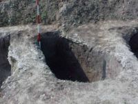 Cronica Cercetărilor Arheologice din România, Campania 2002. Raportul nr. 212