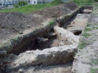 Cronica Cercetărilor Arheologice din România, Campania 2002. Raportul nr. 212