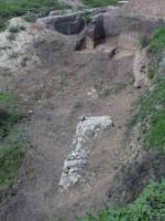 Cronica Cercetărilor Arheologice din România, Campania 2002. Raportul nr. 212